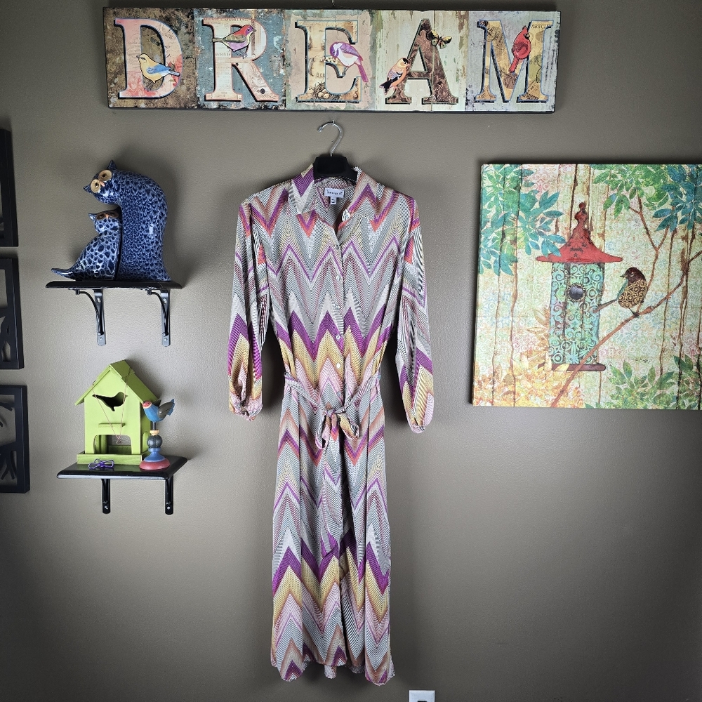 Veronica M. Abstract Chevron Print Maxi Button Down Dress Large